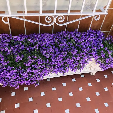 La Casa De Cudón Сasa de vacaciones Cudon