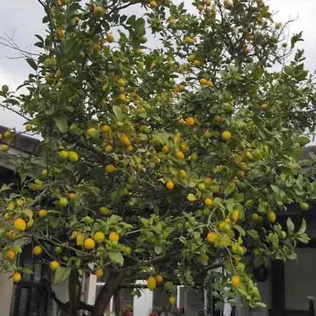 Сasa de vacaciones La Casa De Cudón Cudon