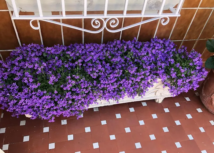 La Casa De Holiday home Cudon