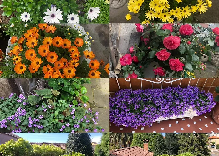 La Casa De Holiday home Cudon