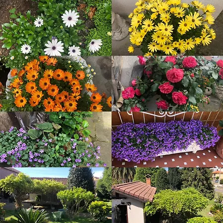 La Casa De Cudón Casa de Férias Cudon